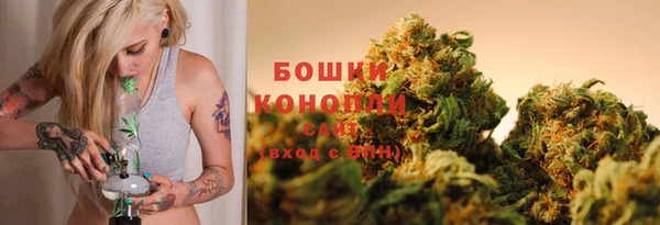 дмт Елизово