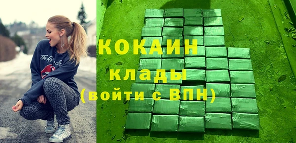 дмт Елизово