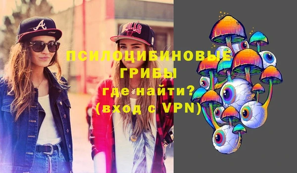 дмт Елизово