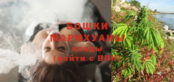 дмт Елизово