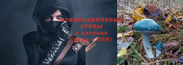 дмт Елизово