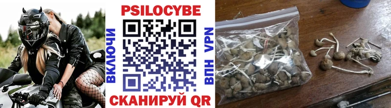 Купить  Пермь  Галлюциногенные грибы GOLDEN TEACHER 